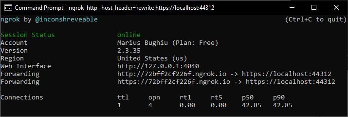 ngrok running a public proxy on the Free plan